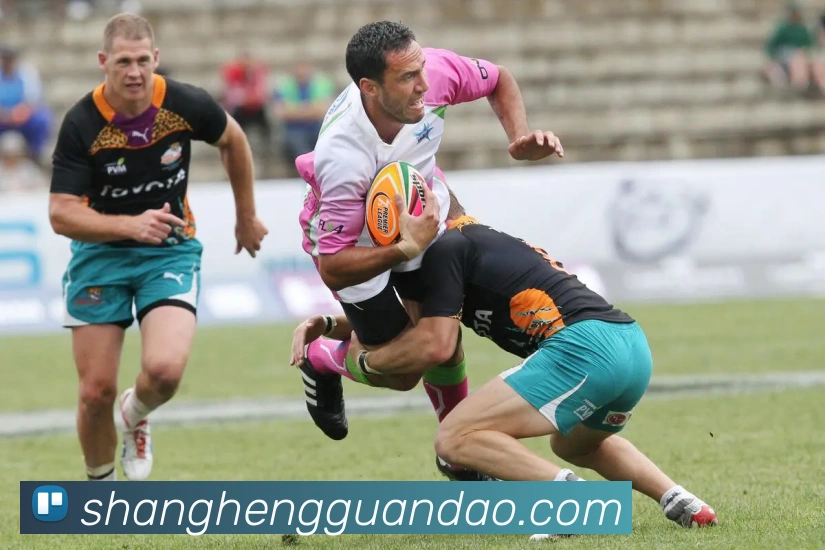 多彩内容专区